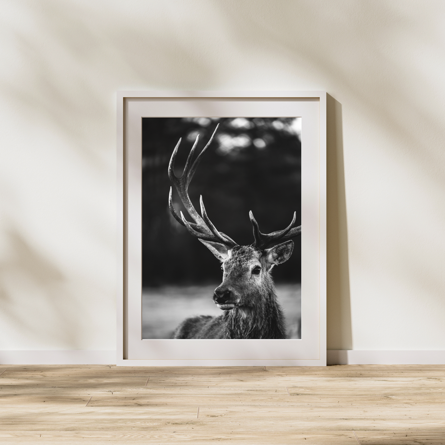 Stag