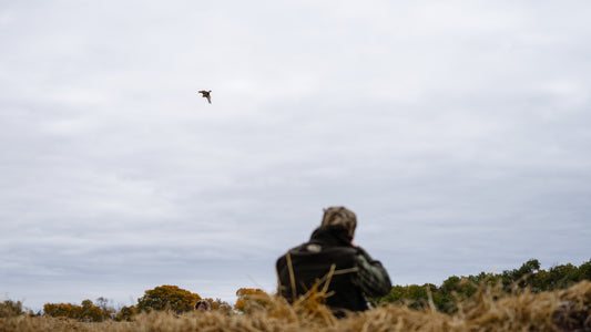 Lone Hen